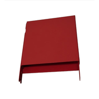 Copertura in acciaio stampato con verniciatura rossa con piegatura e punzonatura 